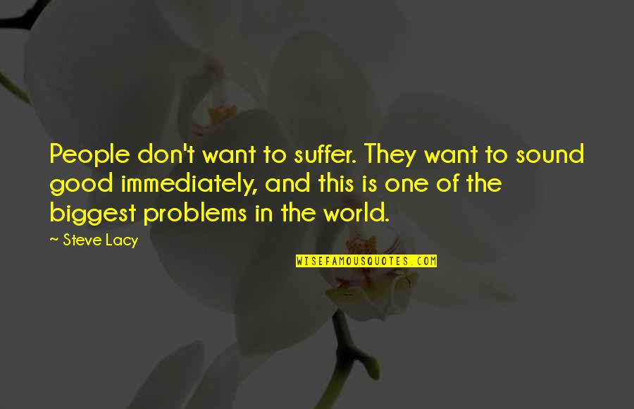 Domazlice Quotes By Steve Lacy: People don't want to suffer. They want to