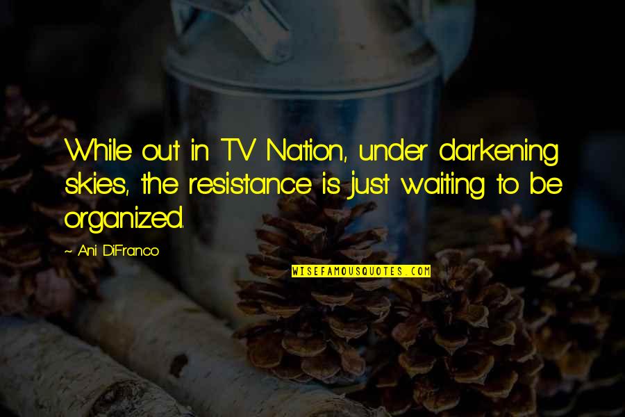 Dombasle U13 Quotes By Ani DiFranco: While out in TV Nation, under darkening skies,