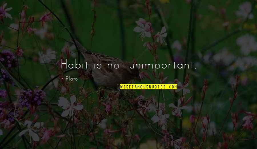 Dombeck Quotes By Plato: Habit is not unimportant.