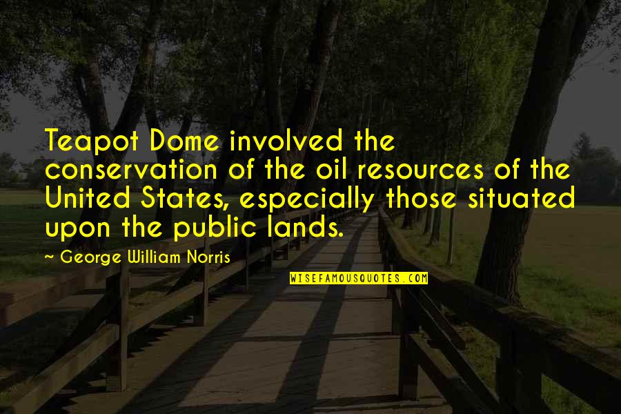 Dome Quotes By George William Norris: Teapot Dome involved the conservation of the oil