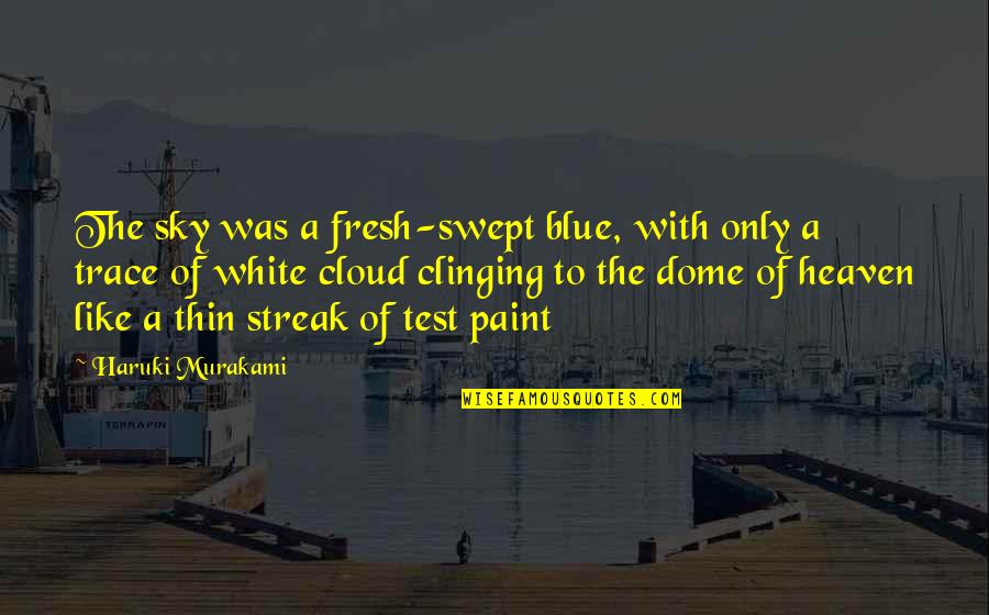 Dome Quotes By Haruki Murakami: The sky was a fresh-swept blue, with only