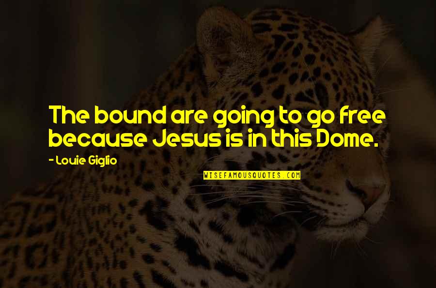 Dome Quotes By Louie Giglio: The bound are going to go free because