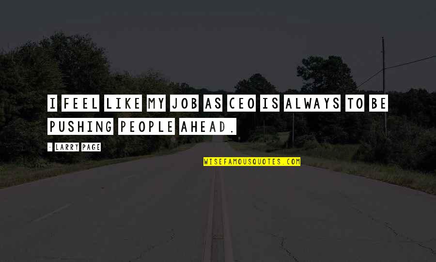 Domein Westhoek Quotes By Larry Page: I feel like my job as CEO is