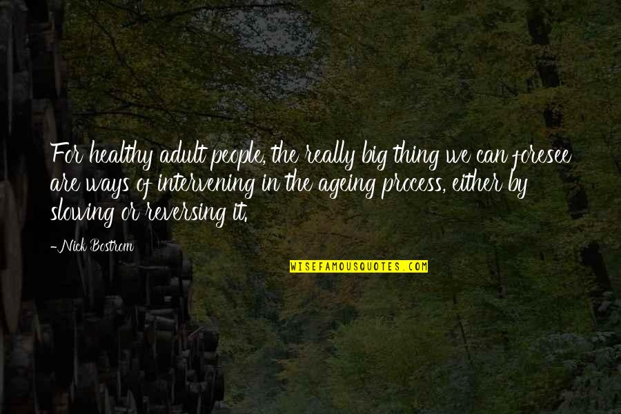 Domein Westhoek Quotes By Nick Bostrom: For healthy adult people, the really big thing