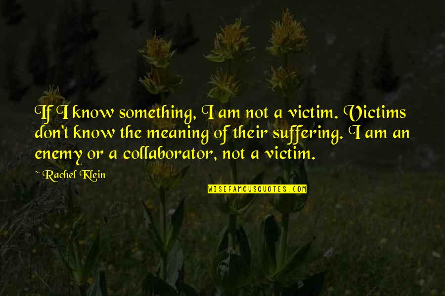Domenico Ghirlandaio Quotes By Rachel Klein: If I know something, I am not a Domenico Ghirlandaio Quotes By Rachel Klein: If I know something, I am not a