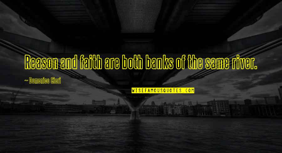 Domenico Quotes By Domenico Cieri: Reason and faith are both banks of the