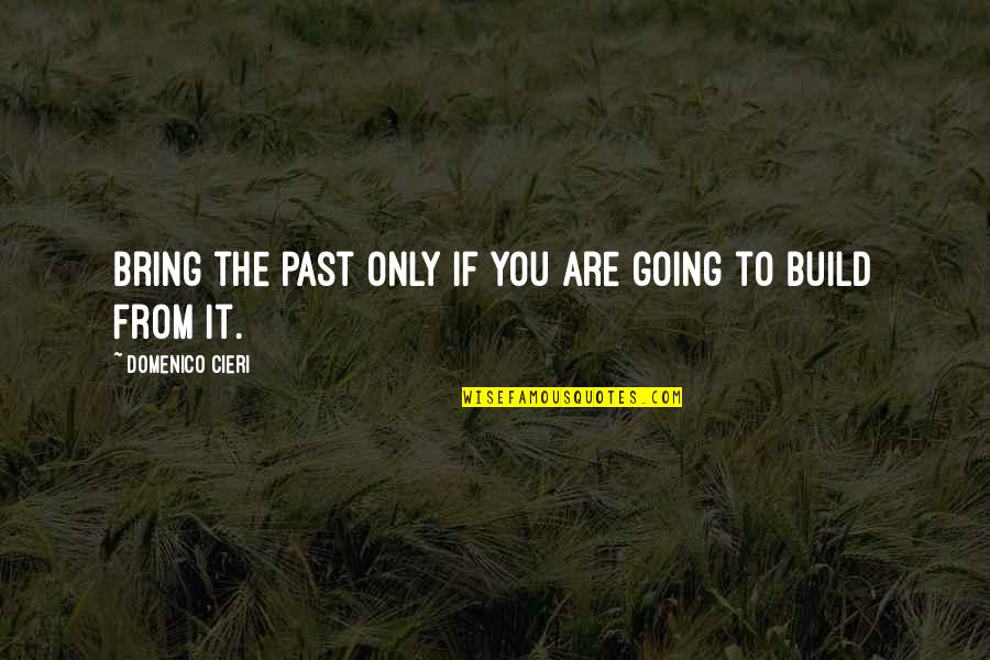 Domenico Quotes By Domenico Cieri: Bring the past only if you are going