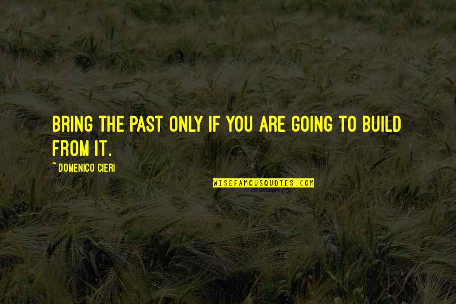 Domenico's Quotes By Domenico Cieri: Bring the past only if you are going