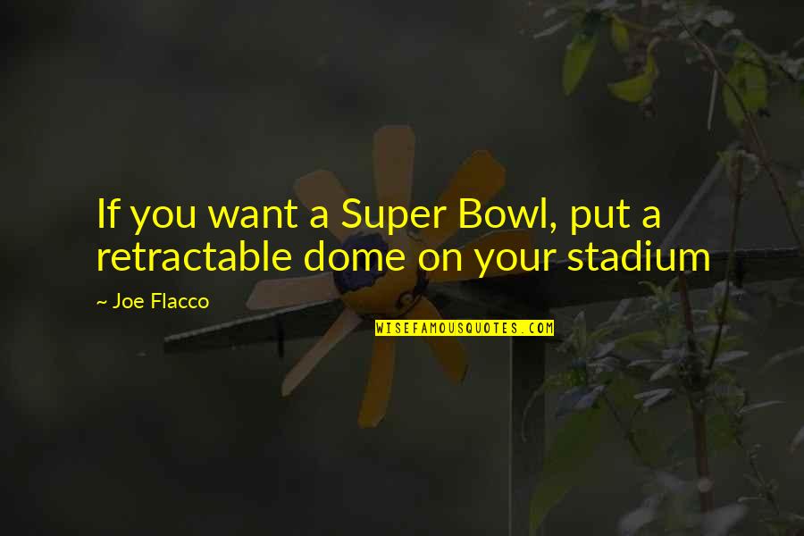 Domes Quotes By Joe Flacco: If you want a Super Bowl, put a