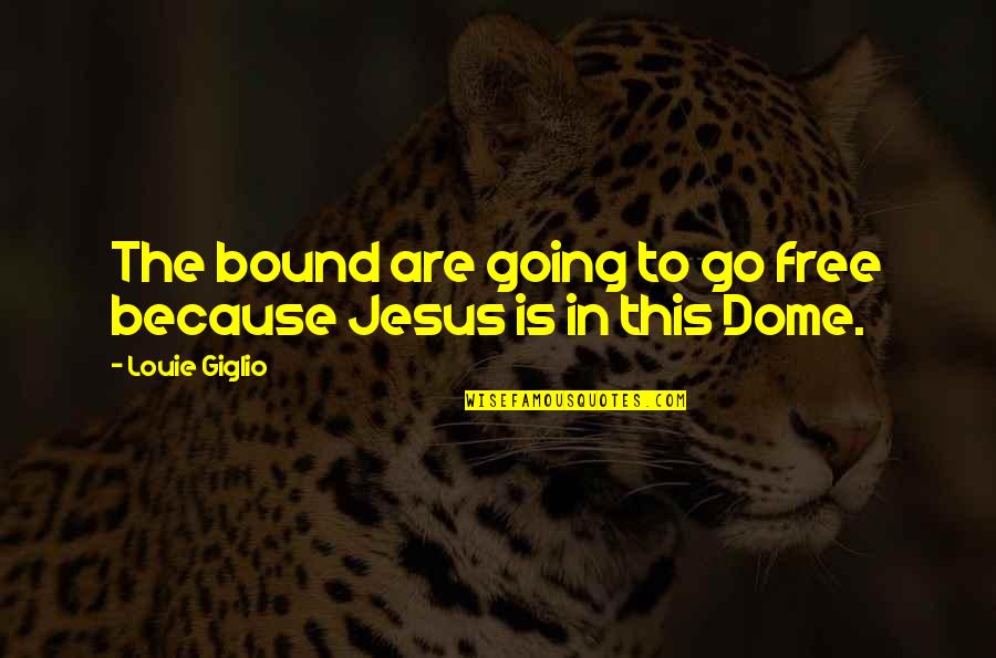 Domes Quotes By Louie Giglio: The bound are going to go free because