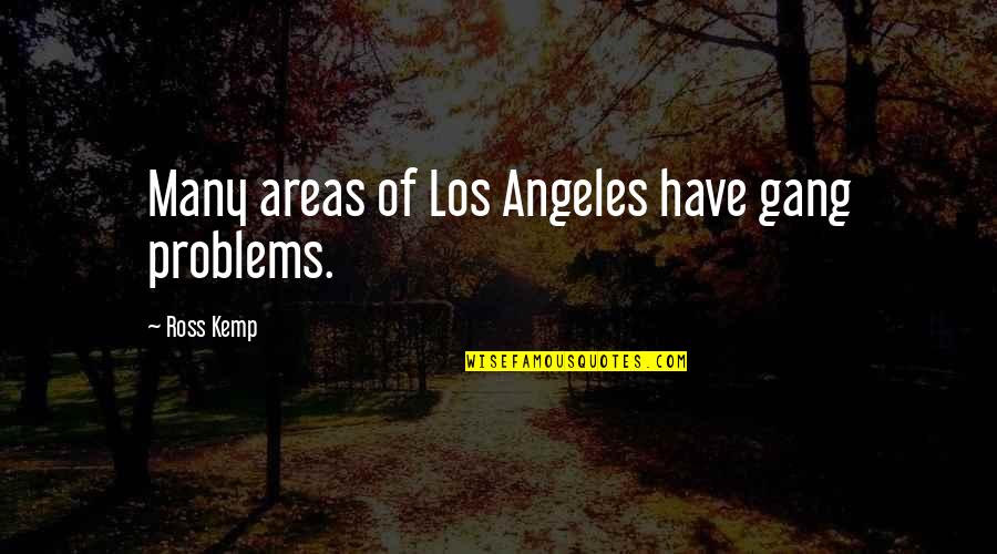 Domestic Partnership Quotes By Ross Kemp: Many areas of Los Angeles have gang problems.