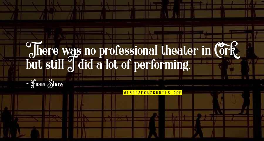 Domestic Relationship Quotes By Fiona Shaw: There was no professional theater in Cork, but