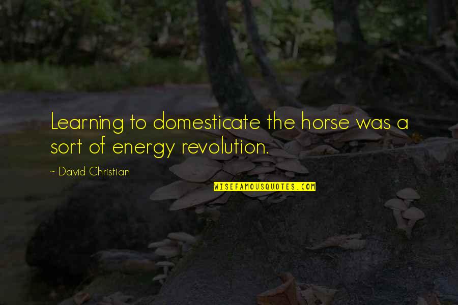 Domesticate Quotes By David Christian: Learning to domesticate the horse was a sort