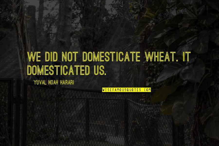 Domesticate Quotes By Yuval Noah Harari: We did not domesticate wheat. It domesticated us.