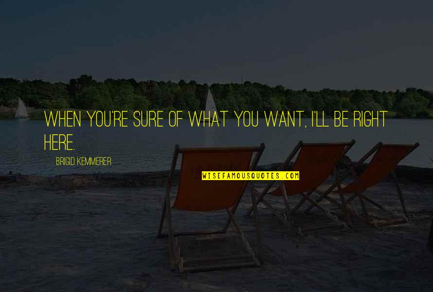 Domesticated Cat Quotes By Brigid Kemmerer: When you're sure of what you want, I'll