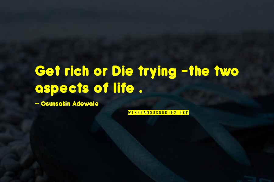 Domesticating Feral Cats Quotes By Osunsakin Adewale: Get rich or Die trying -the two aspects