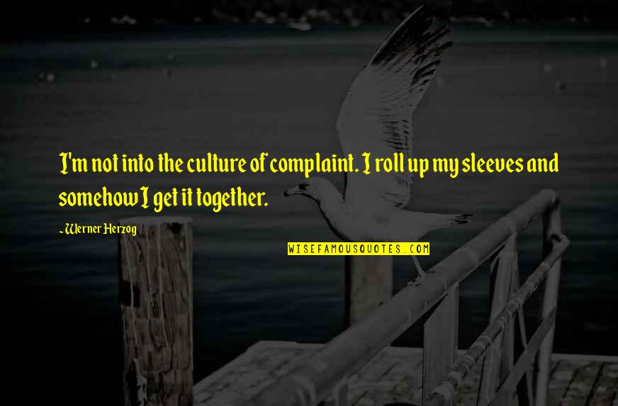 Domiciled Quotes By Werner Herzog: I'm not into the culture of complaint. I