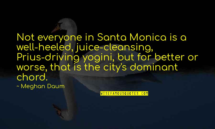Dominant's Quotes By Meghan Daum: Not everyone in Santa Monica is a well-heeled,