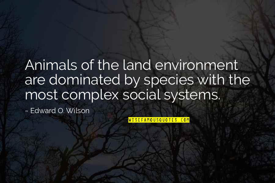 Dominated Quotes By Edward O. Wilson: Animals of the land environment are dominated by Dominated Quotes By Edward O. Wilson: Animals of the land environment are dominated by