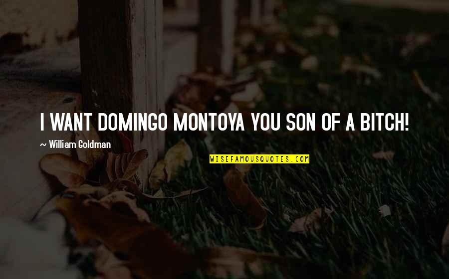 Domingo Quotes By William Goldman: I WANT DOMINGO MONTOYA YOU SON OF A