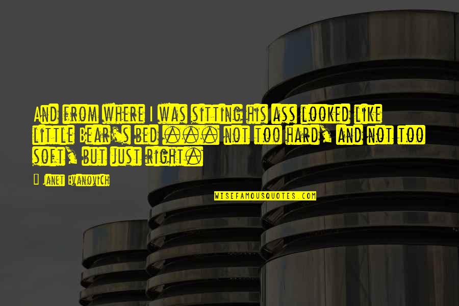 Dominicks Ann Quotes By Janet Evanovich: And from where I was sitting his ass Dominicks Ann Quotes By Janet Evanovich: And from where I was sitting his ass