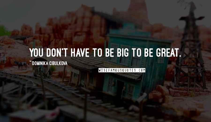 Dominika Cibulkova quotes: You don't have to be big to be great.