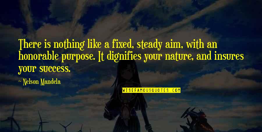 Dominko Zlataric Quotes By Nelson Mandela: There is nothing like a fixed, steady aim,