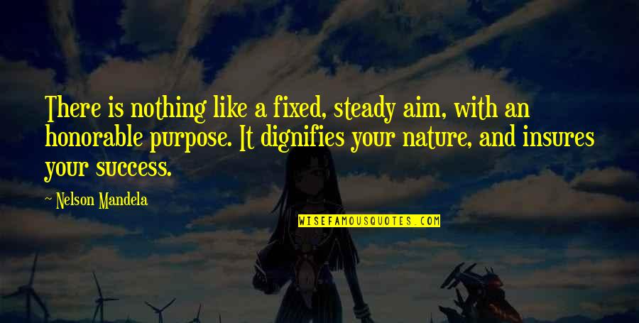 Dominko Zlataric Quotes By Nelson Mandela: There is nothing like a fixed, steady aim,