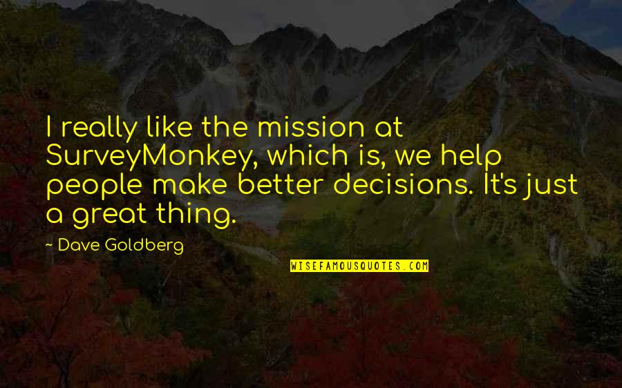 Dommedag Michelangelo Quotes By Dave Goldberg: I really like the mission at SurveyMonkey, which