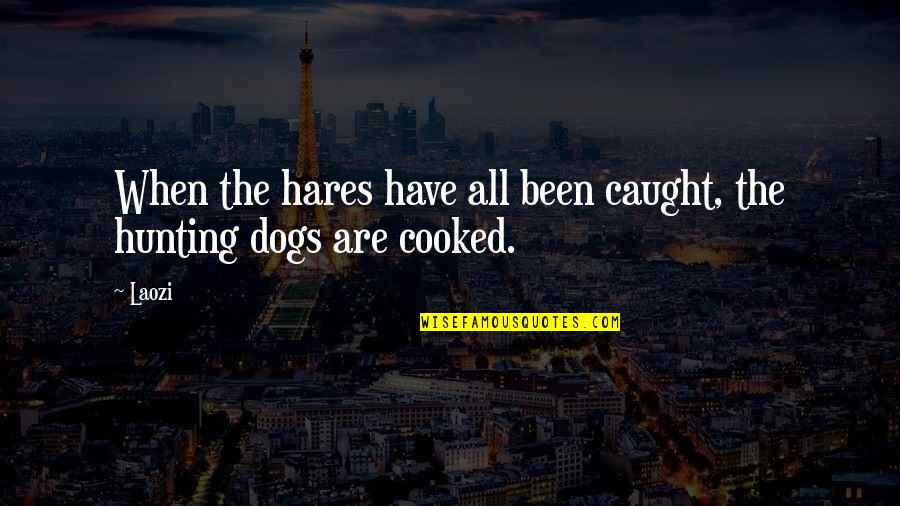 Domn8er Quotes By Laozi: When the hares have all been caught, the