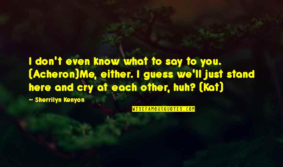Don Cry For Me Quotes By Sherrilyn Kenyon: I don't even know what to say to