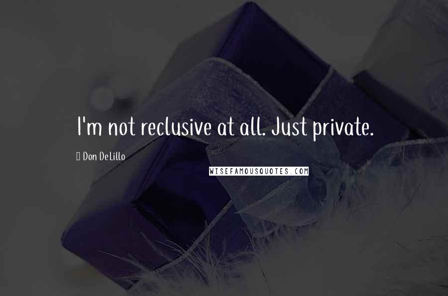 Don DeLillo quotes: I'm not reclusive at all. Just private.