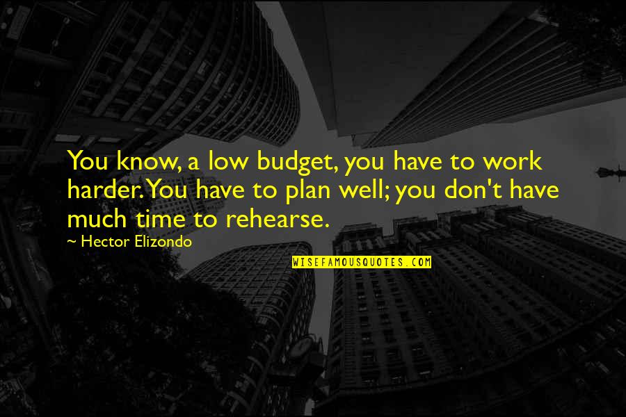 Don Hector Quotes By Hector Elizondo: You know, a low budget, you have to