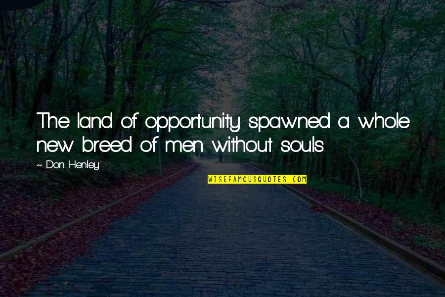 Don Henley Quotes By Don Henley: The land of opportunity spawned a whole new