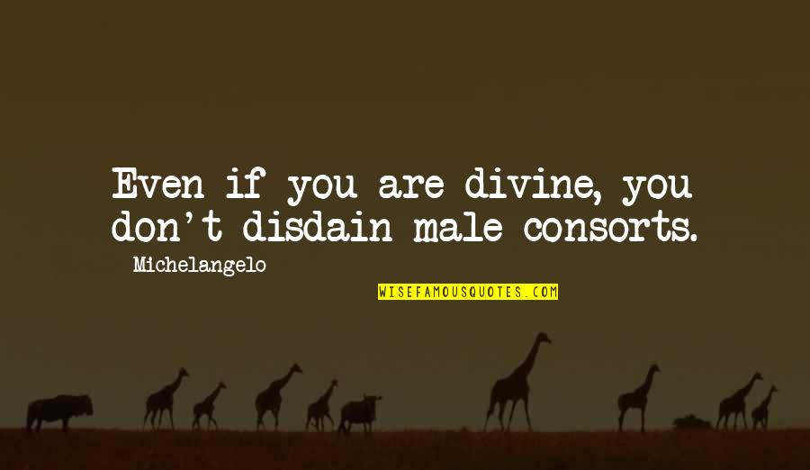 Don Hold Yourself Back Quotes By Michelangelo: Even if you are divine, you don't disdain