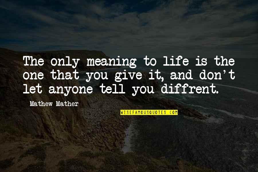 Don Let Anyone In Quotes By Mathew Mather: The only meaning to life is the one