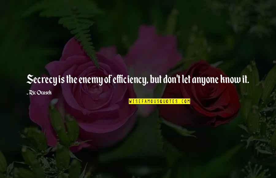 Don Let Anyone In Quotes By Ric Ocasek: Secrecy is the enemy of efficiency, but don't