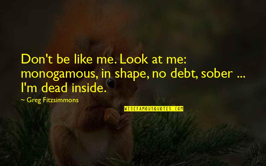 Don Look At Me Quotes By Greg Fitzsimmons: Don't be like me. Look at me: monogamous,