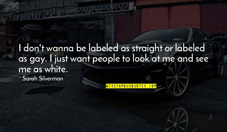 Don Look At Me Quotes By Sarah Silverman: I don't wanna be labeled as straight or