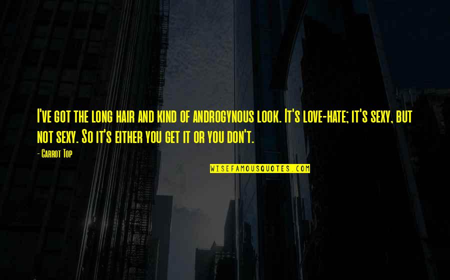 Don Look For Love Quotes By Carrot Top: I've got the long hair and kind of Don Look For Love Quotes By Carrot Top: I've got the long hair and kind of