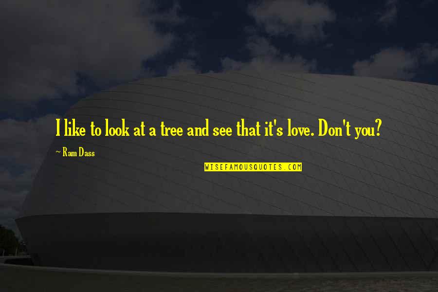 Don Look For Love Quotes By Ram Dass: I like to look at a tree and