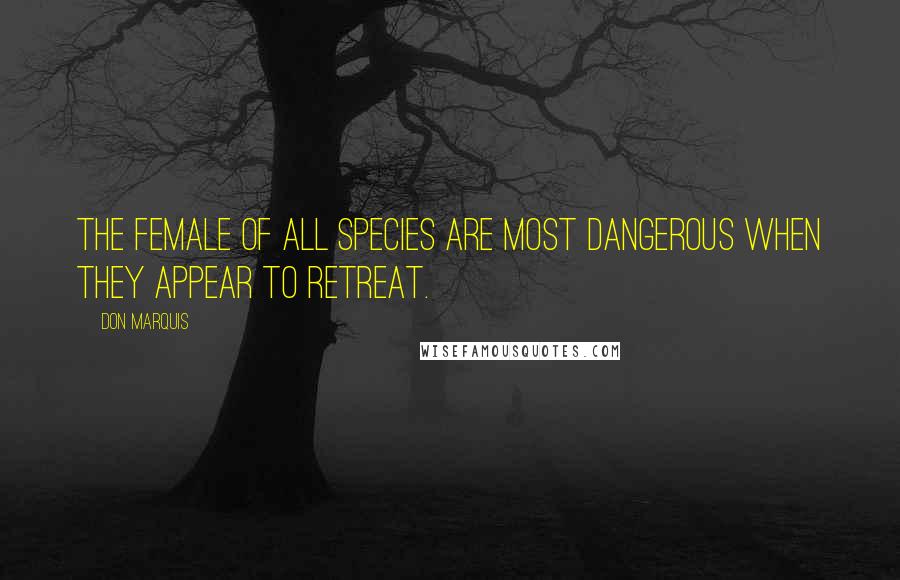 Don Marquis quotes: The female of all species are most dangerous when they appear to retreat.