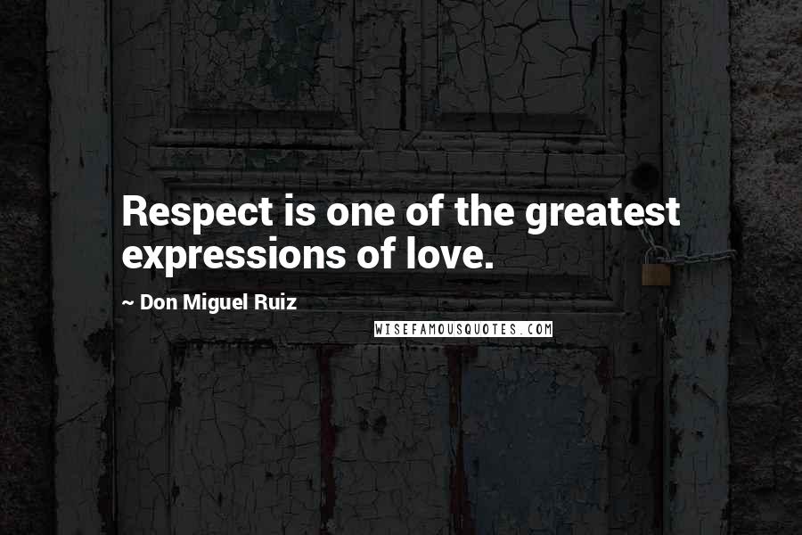 Don Miguel Ruiz quotes: Respect is one of the greatest expressions of love.