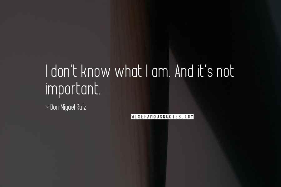 Don Miguel Ruiz quotes: I don't know what I am. And it's not important.