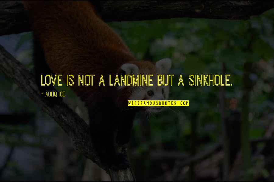 Don Misuse Love Quotes By Auliq Ice: Love is not a landmine but a sinkhole.