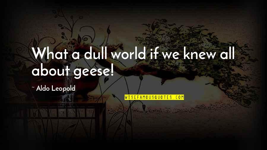 Don Quixote La Mancha Quotes By Aldo Leopold: What a dull world if we knew all