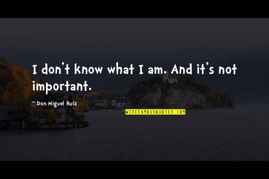 Don Ruiz Quotes By Don Miguel Ruiz: I don't know what I am. And it's