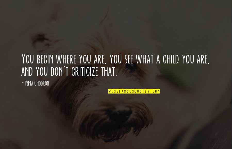 Don T Criticize Quotes By Pema Chodron: You begin where you are, you see what