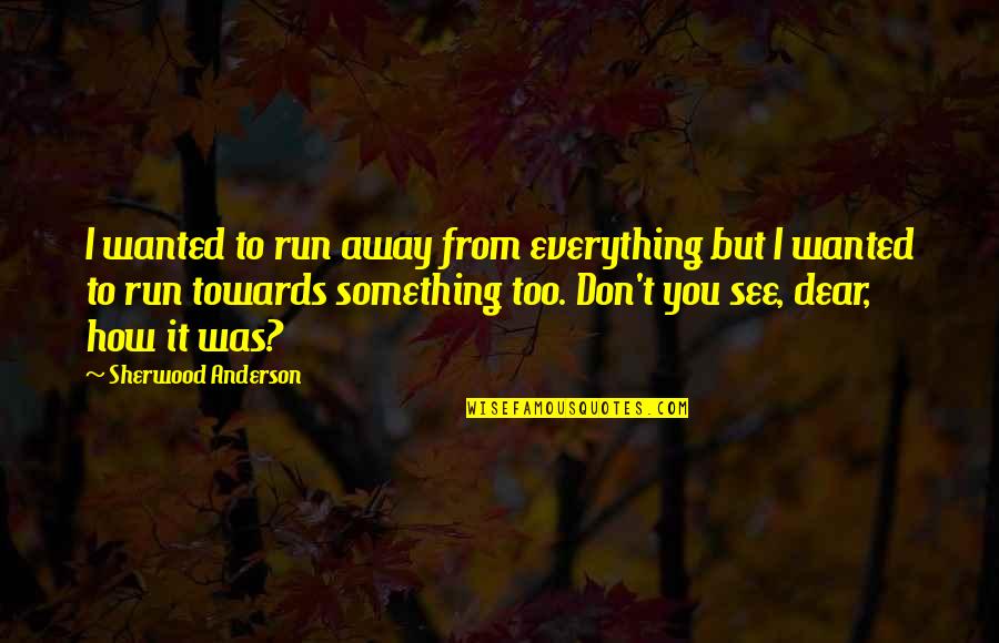 Don T Run Away Quotes By Sherwood Anderson: I wanted to run away from everything but