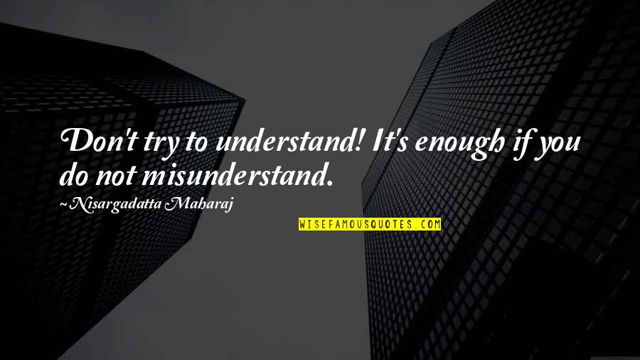 Don T Understand Quotes By Nisargadatta Maharaj: Don't try to understand! It's enough if you